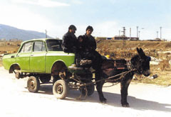 Магар-сила
